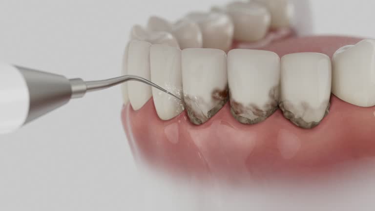 Reliable Dental contractor in Robinwood, MD by Dentist Open Now
